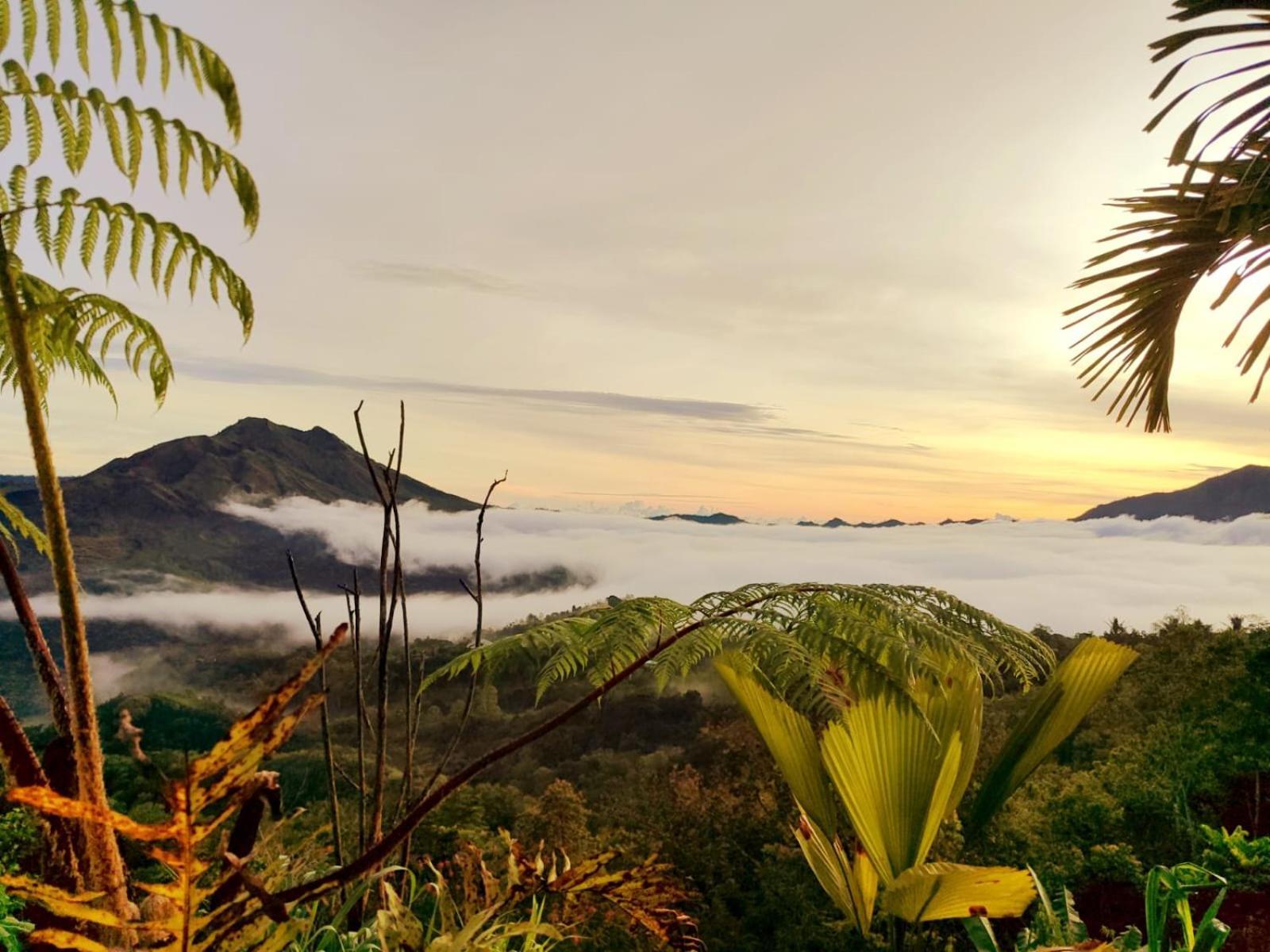 Batur View Homestay - Loft 金塔马尼 外观 照片